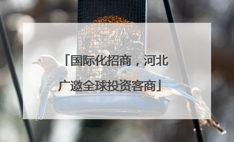 国际化招商，河北广邀全球投资客商