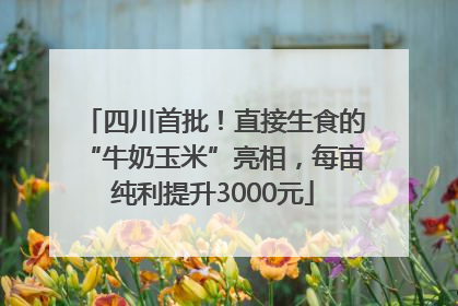 四川首批！直接生食的“牛奶玉米”亮相，每亩纯利提升3000元