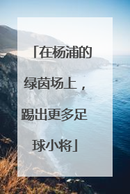 在杨浦的绿茵场上，踢出更多足球小将
