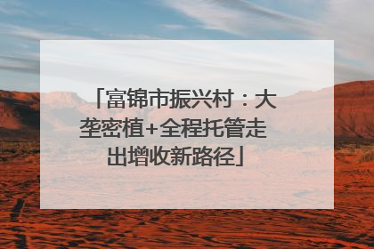 富锦市振兴村：大垄密植+全程托管走出增收新路径