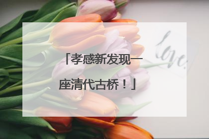 孝感新发现一座清代古桥！