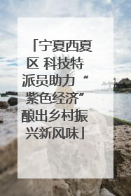 宁夏西夏区 科技特派员助力“紫色经济”酿出乡村振兴新风味