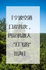 宁波空港口岸首次，四足机器人“打飞的”出海