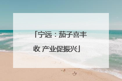 宁远：茄子喜丰收 产业促振兴