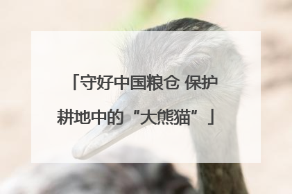 守好中国粮仓 保护耕地中的“大熊猫”