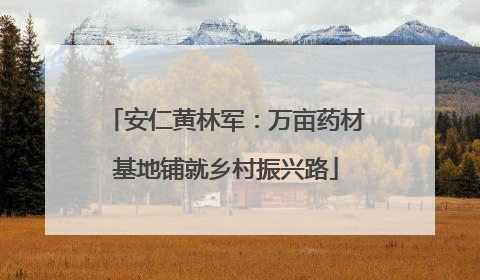 安仁黄林军：万亩药材基地铺就乡村振兴路