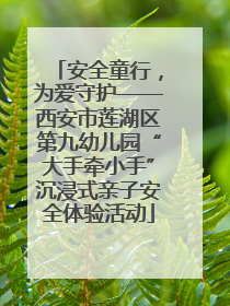 安全童行，为爱守护——西安市莲湖区第九幼儿园“大手牵小手”沉浸式亲子安全体验活动