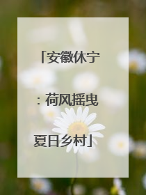 安徽休宁：荷风摇曳夏日乡村