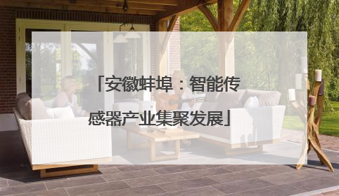 安徽蚌埠：智能传感器产业集聚发展