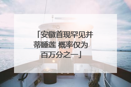 安徽首现罕见并蒂睡莲 概率仅为百万分之一
