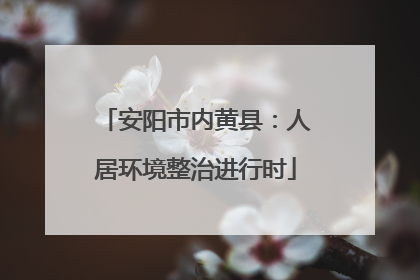 安阳市内黄县：人居环境整治进行时