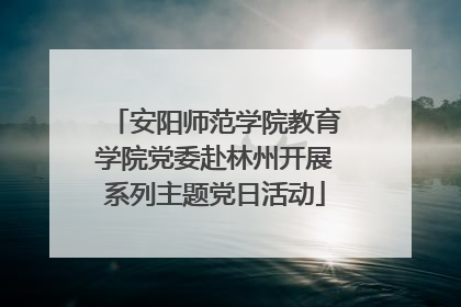 安阳师范学院教育学院党委赴林州开展系列主题党日活动