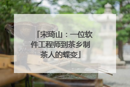 宋琦山：一位软件工程师到茶乡制茶人的蝶变