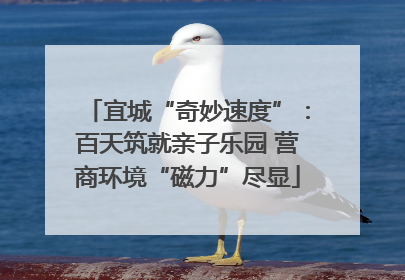 宜城“奇妙速度”：百天筑就亲子乐园 营商环境“磁力”尽显
