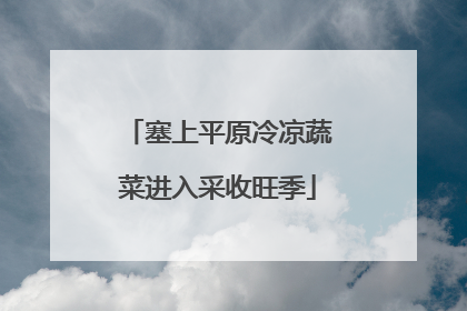 塞上平原冷凉蔬菜进入采收旺季
