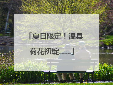 夏日限定！温县荷花初绽……