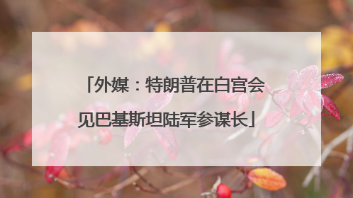 外媒：特朗普在白宫会见巴基斯坦陆军参谋长