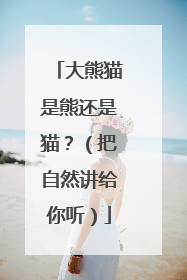 大熊猫是熊还是猫?(把自然讲给你听)