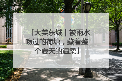 大美东城｜被雨水吻过的荷塘，藏着整个夏天的温柔