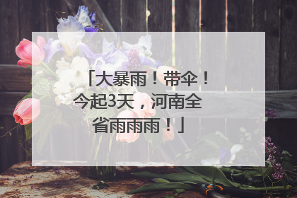 大暴雨！带伞！今起3天，河南全省雨雨雨！