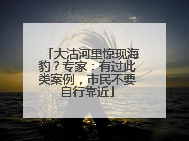 大沽河里惊现海豹？专家：有过此类案例，市民不要自行靠近