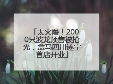 太火爆！2000只波龙预售被抢光，盒马四川遂宁首店开业