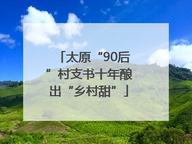 太原“90后”村支书十年酿出“乡村甜”
