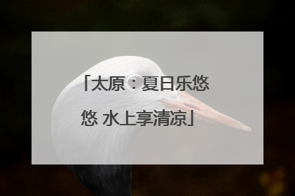 太原：夏日乐悠悠 水上享清凉