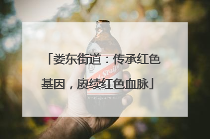 娄东街道：传承红色基因，赓续红色血脉