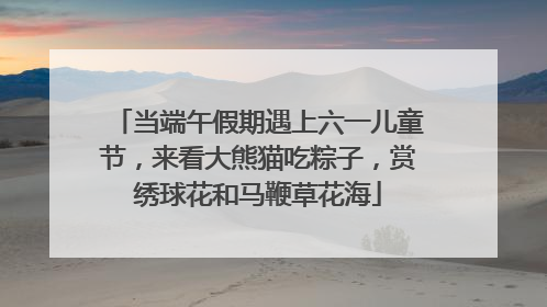 当端午假期遇上六一儿童节，来看大熊猫吃粽子，赏绣球花和马鞭草花海