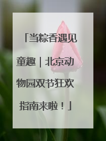 当粽香遇见童趣｜北京动物园双节狂欢指南来啦！