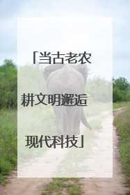 当古老农耕文明邂逅现代科技