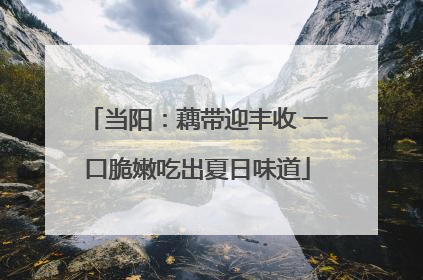 当阳：藕带迎丰收 一口脆嫩吃出夏日味道