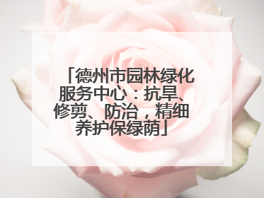 德州市园林绿化服务中心：抗旱、修剪、防治，精细养护保绿荫