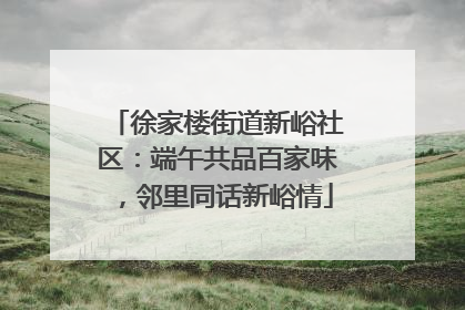 徐家楼街道新峪社区：端午共品百家味，邻里同话新峪情