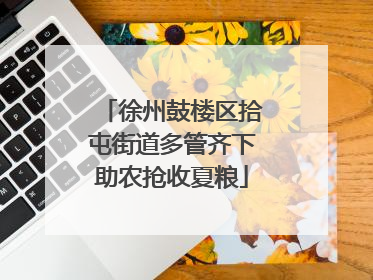 徐州鼓楼区拾屯街道多管齐下助农抢收夏粮