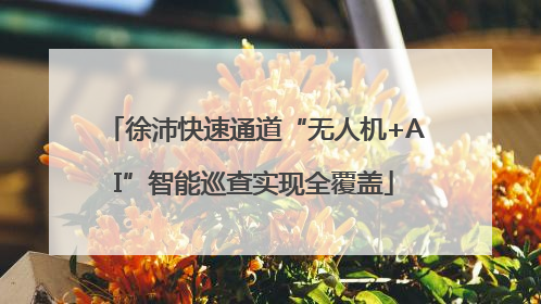 徐沛快速通道“无人机+AI”智能巡查实现全覆盖