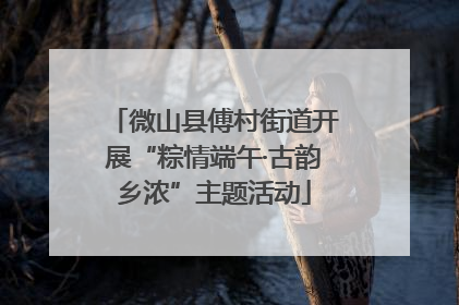 微山县傅村街道开展“粽情端午·古韵乡浓”主题活动