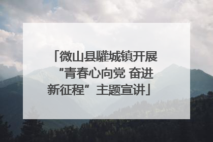 微山县驩城镇开展“青春心向党 奋进新征程”主题宣讲