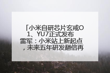 小米自研芯片玄戒O1、YU7正式发布 雷军：小米站上新起点，未来五年研发翻倍再投2000亿元
