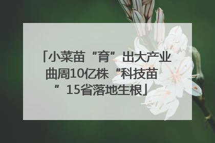 小菜苗“育”出大产业 曲周10亿株“科技苗”15省落地生根