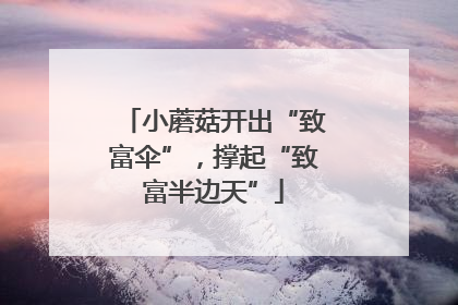 小蘑菇开出“致富伞”，撑起“致富半边天”