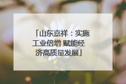 山东嘉祥：实施工业倍增 赋能经济高质量发展