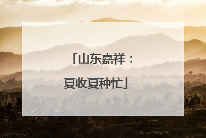 山东嘉祥：夏收夏种忙