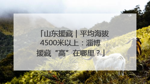 山东援藏｜平均海拔4500米以上：淄博援藏“高”在哪里？