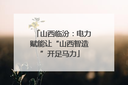 山西临汾：电力赋能让“山西智造”开足马力