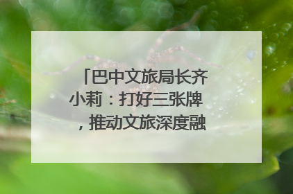 巴中文旅局长齐小莉：打好三张牌，推动文旅深度融合｜文旅局长说