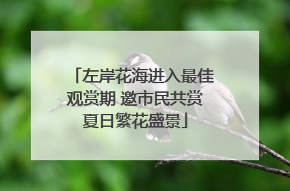 左岸花海进入最佳观赏期 邀市民共赏夏日繁花盛景