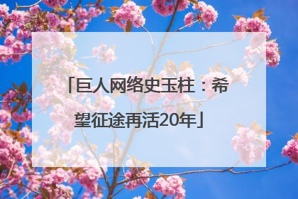 巨人网络史玉柱：希望征途再活20年