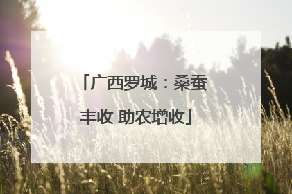 广西罗城：桑蚕丰收 助农增收